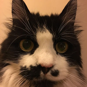 Meet your Posher, Grace